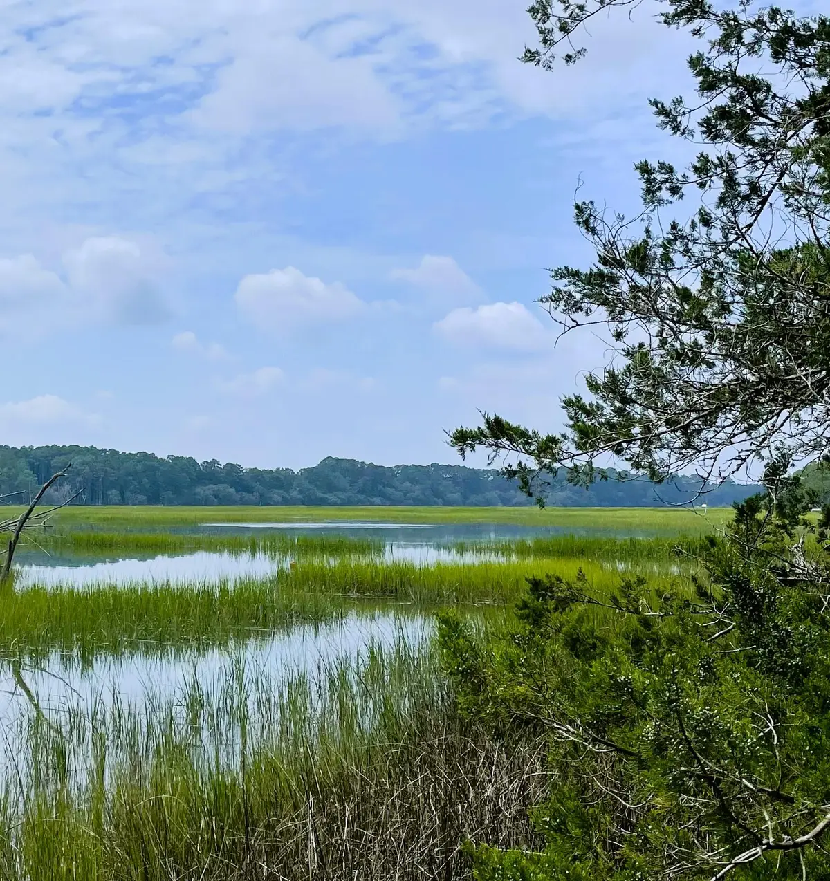 Lot D-2 7743 Toogoodoo Road, Meggett, SC 29449 - Image #1