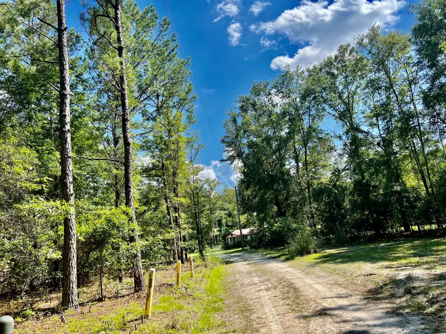 1 Evangelitst Drive, Early Branch, SC 29916 - #2