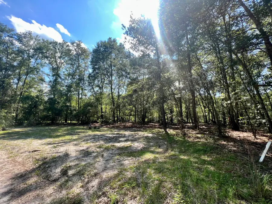 1 Evangelitst Drive, Early Branch, SC 29916 - #3