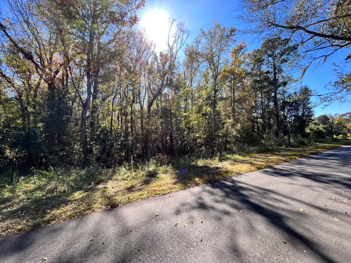 00 Shoofly Road Road, Ridgeville, SC 29472 - #1