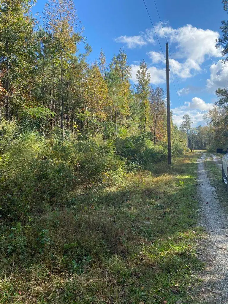 0 Lawyer Lane, Cross, SC 29436 - #2