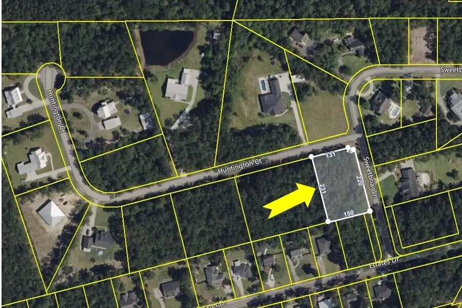 Lot #20 Huntington Court, Walterboro, SC 29488 - #1