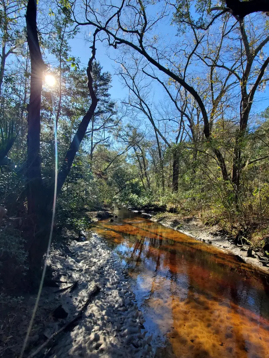 7085 Inman Road, Meggett, SC 29449 - Image #2