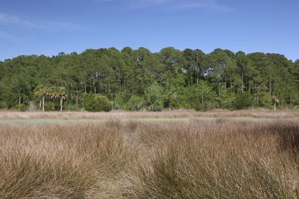 1789 Sc-41, Mount Pleasant, SC 29466