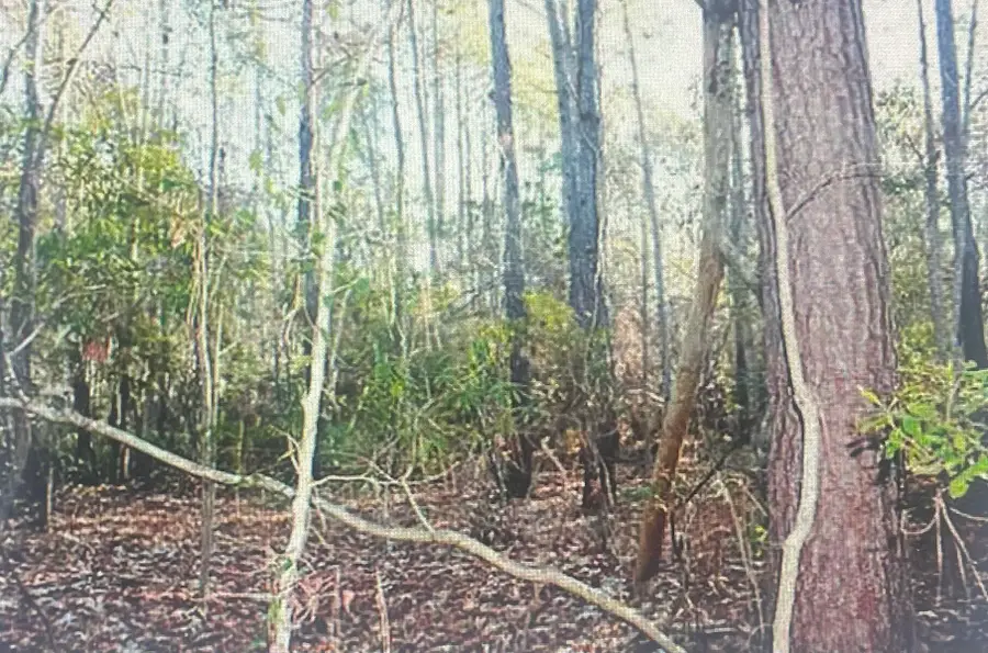 00 James Weston Drive, Mount Pleasant, SC 29429 - Image #3