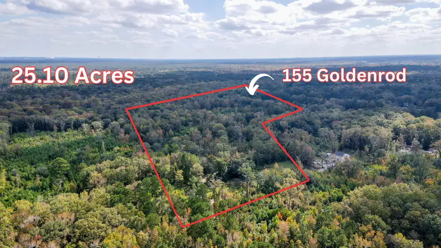 155 Goldenrod Lane, Moncks Corner, SC 29461 - Image #2