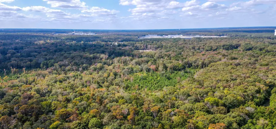 155 Goldenrod Lane, Moncks Corner, SC 29461 - Image #3