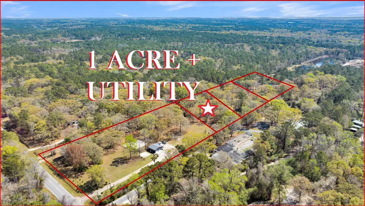 00 Duck Pond Road, Johns Island, SC 29455 - Image #1