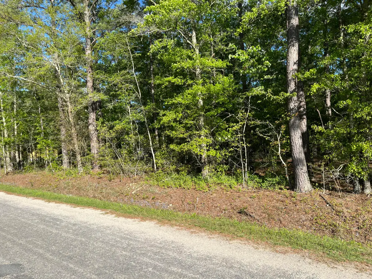 0 Sniders Highway, Walterboro, SC 29488 - #1