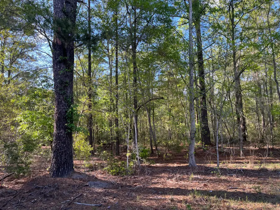 0 Rentz Drive, Walterboro, SC 29488 - Image #2