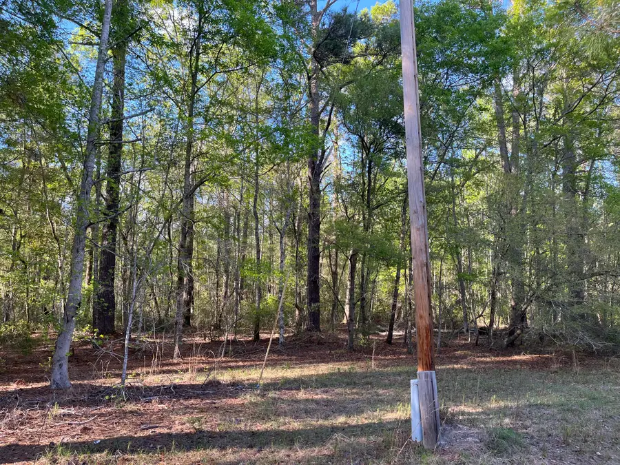 0 Rentz Drive, Walterboro, SC 29488 - Image #3