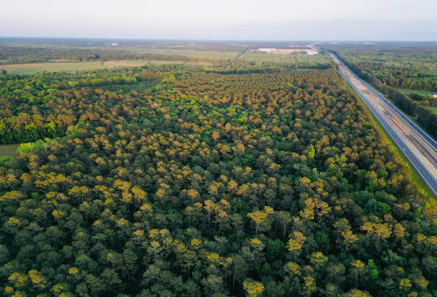 00 Fivel Lane, Ridgeville, SC 29472 - #3