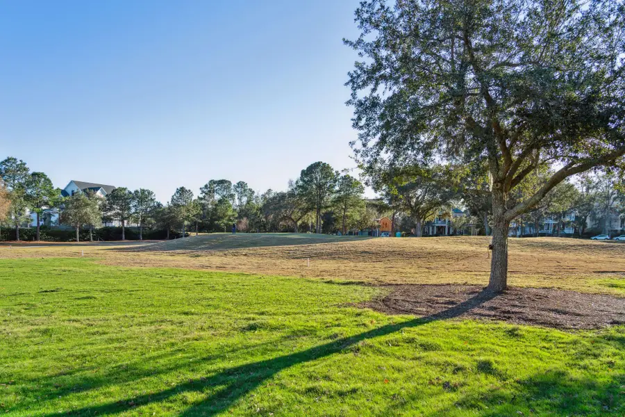 141 Ithecaw Creek Street, Charleston, SC 29492 - #3