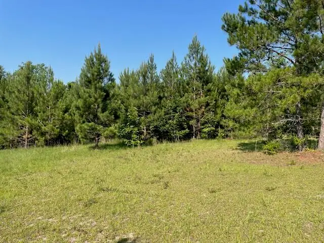 0 Old River Road, Elloree, SC 29047 - #2