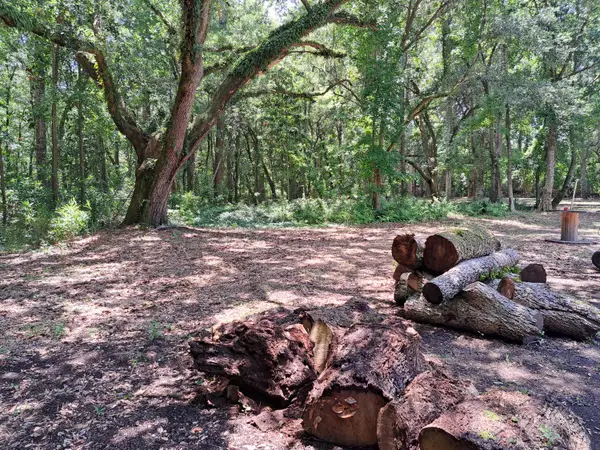 0 Rafael Lane, Charleston, SC 29412