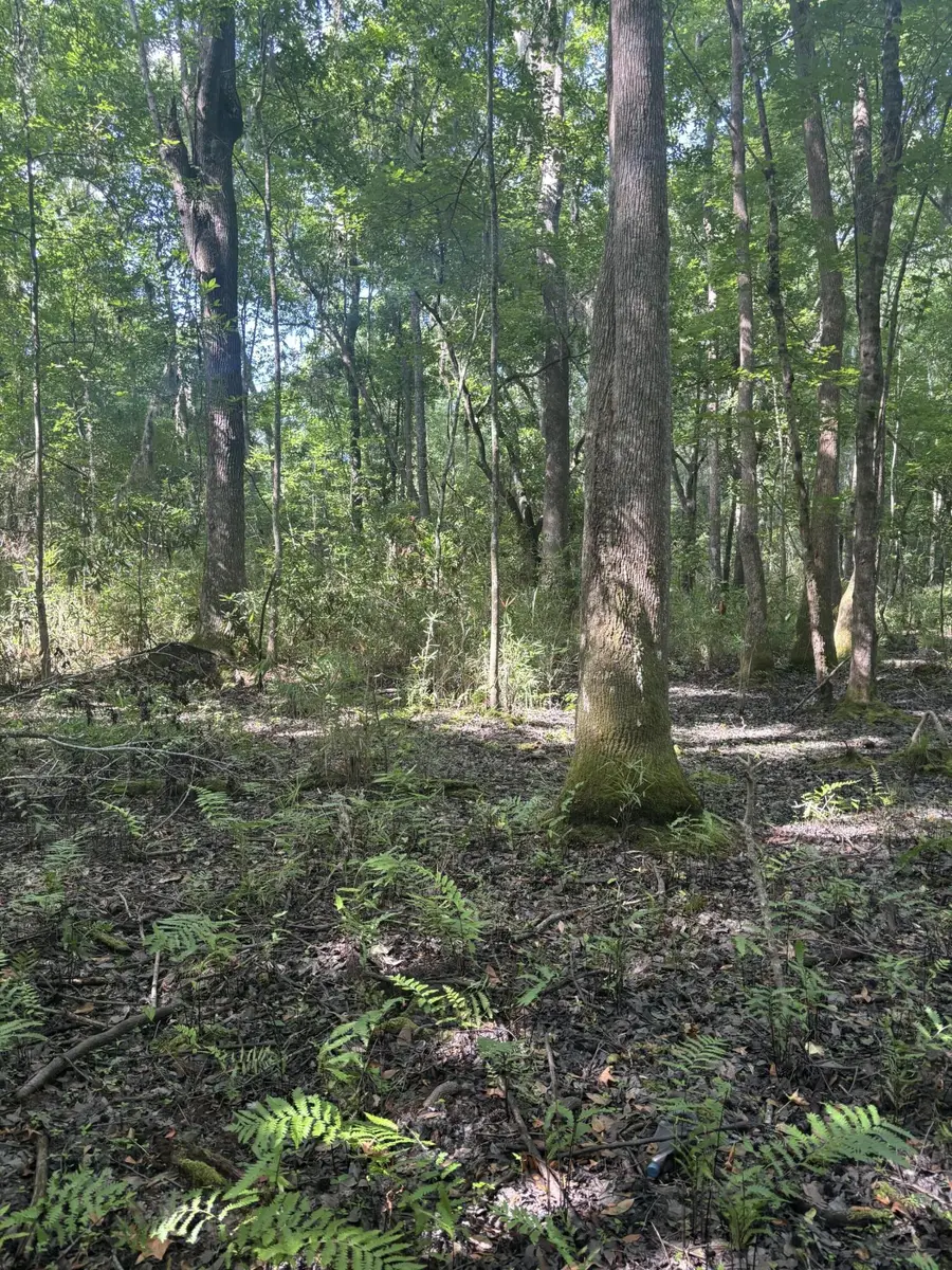0 Back Pen Rd, Johns Island, SC 29455 - Image #3