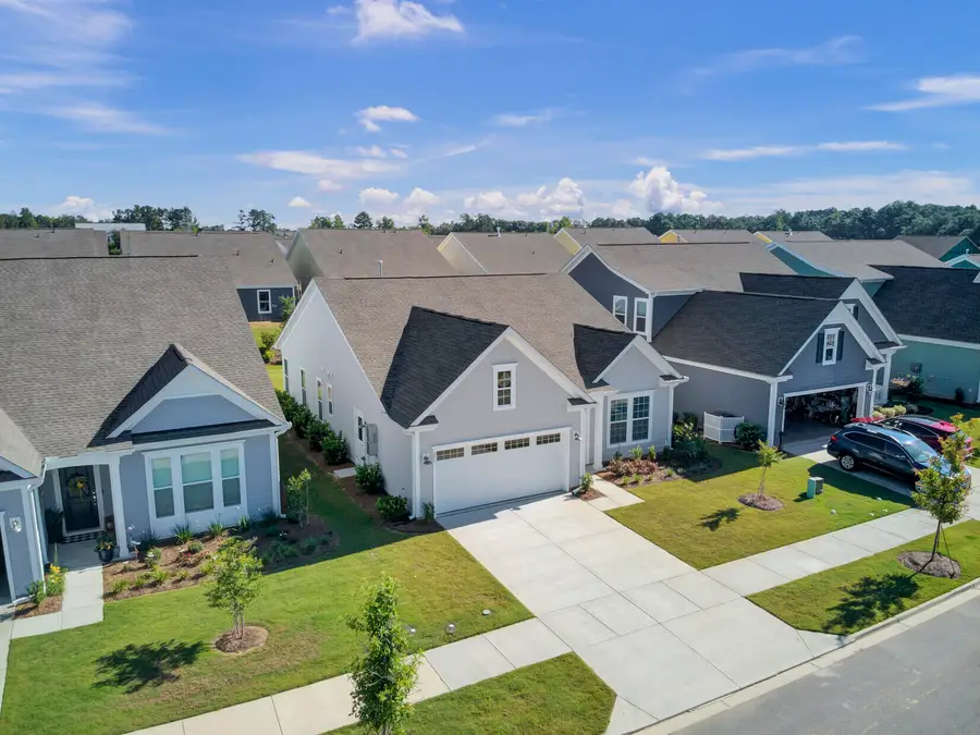 253 River Martin Court, Summerville, SC 29483 - Image #3