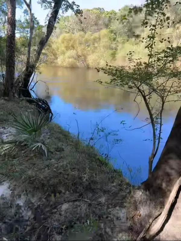 00 Mcdanieltown Road, Ridgeville, SC 29472