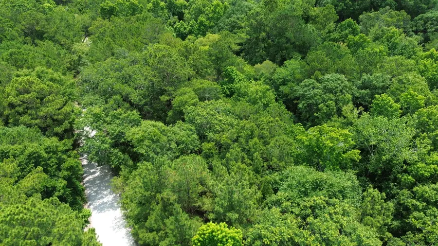 4 Preserve Road, Johns Island, SC 29455 - Image #3