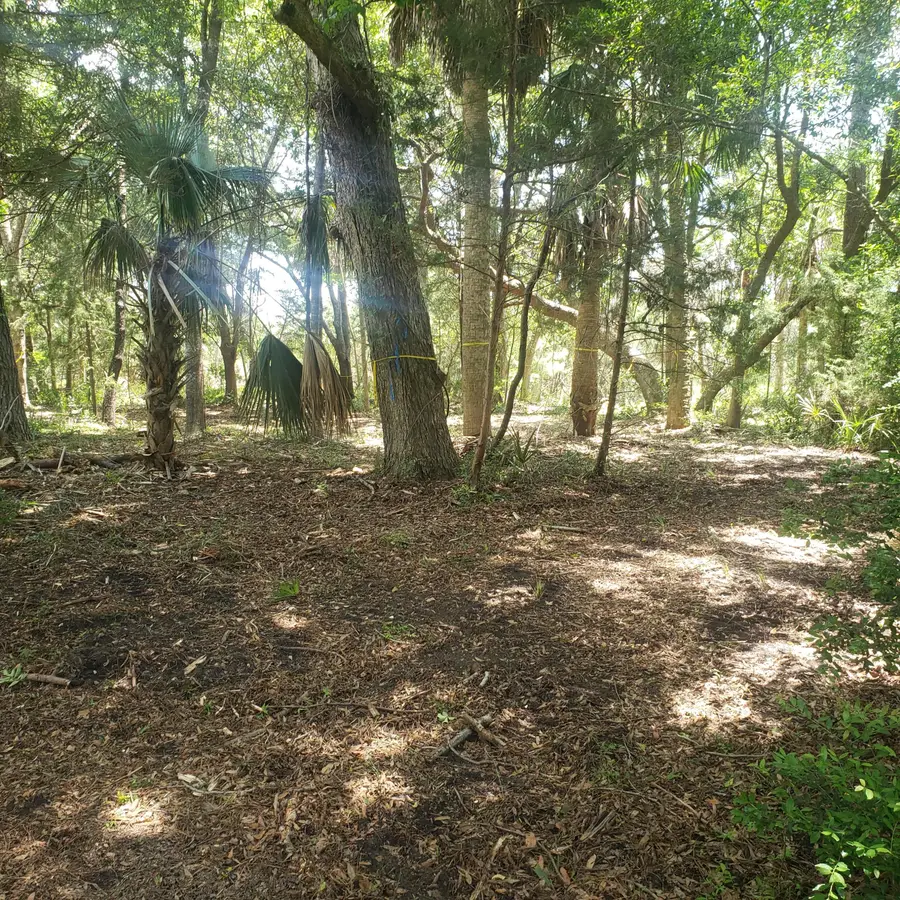 723 Jan Savage Way #Lot (A), Edisto Island, SC 29438 - #2