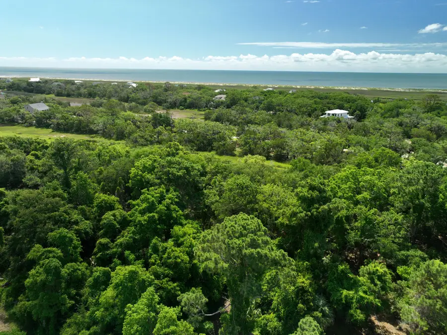 723 Jan Savage Way #Lot (A), Edisto Island, SC 29438 - #3