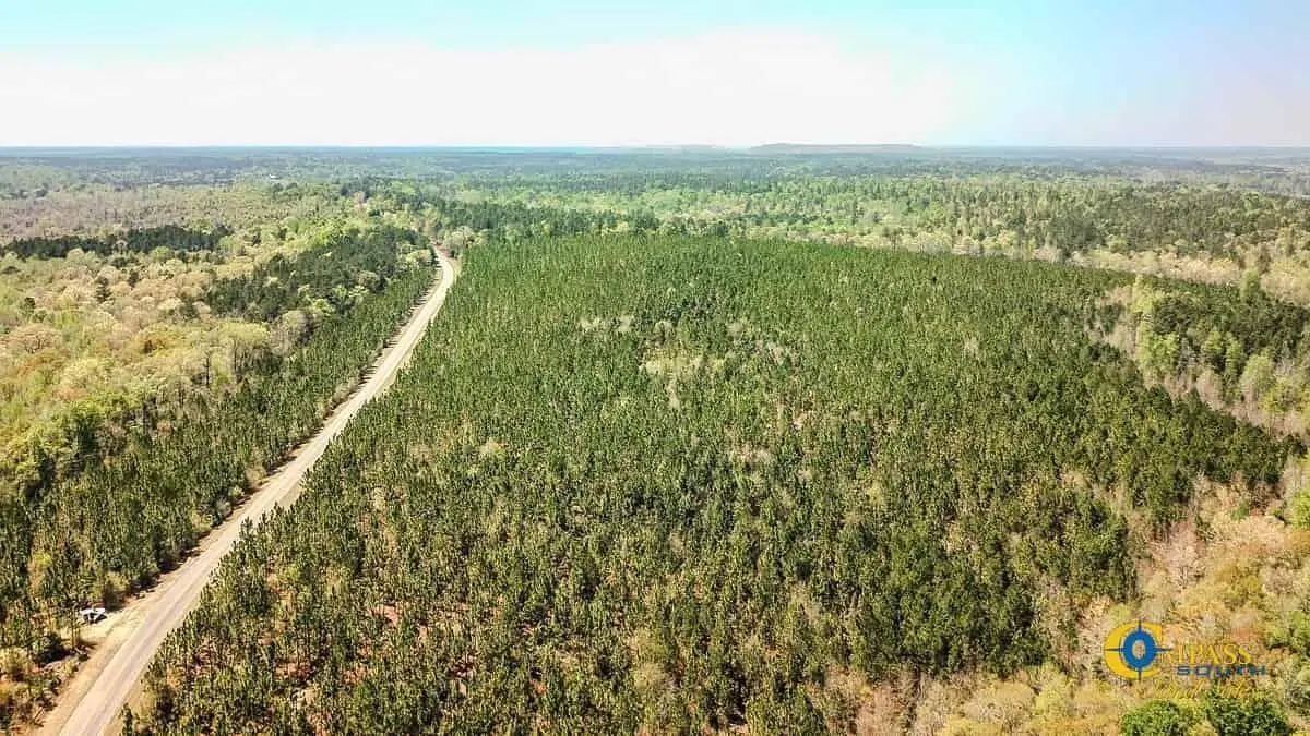 5659 Mt Pisgah Rd, Bethune, SC 29009 - Image #1