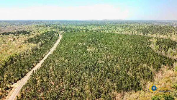 5659 Mt Pisgah Rd, Bethune, SC 29009