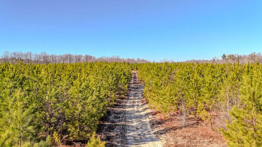 5659 Mt Pisgah Rd, Bethune, SC 29009 - Image #2