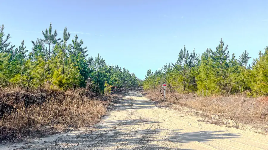 5659 Mt Pisgah Rd, Bethune, SC 29009 - Image #3