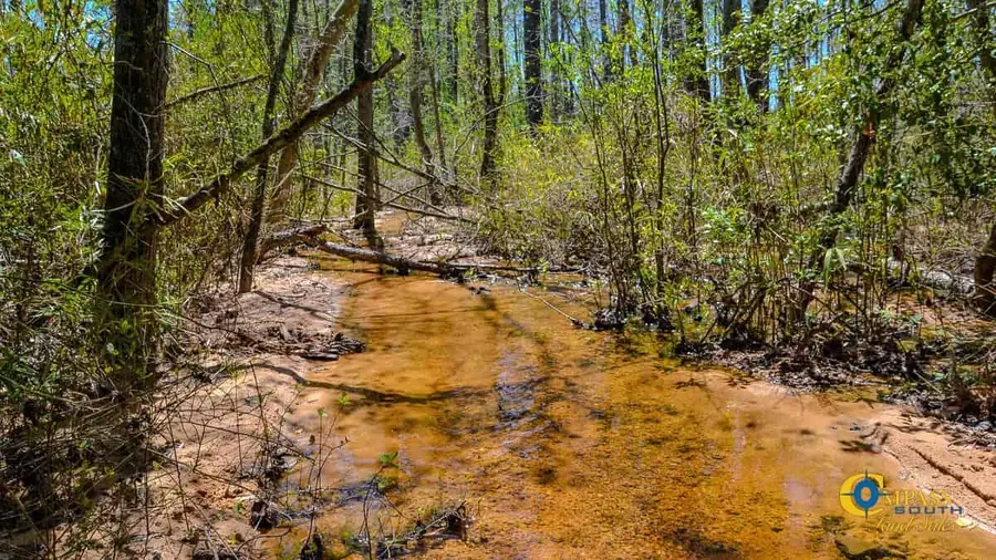 5659 Mt Pisgah Rd, Bethune, SC 29009 - Image #2