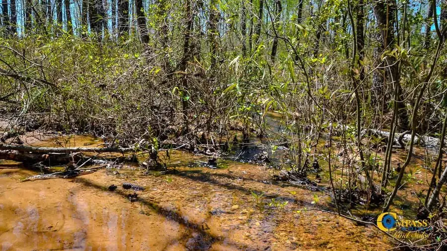 5659 Mt Pisgah Rd, Bethune, SC 29009 - Image #3