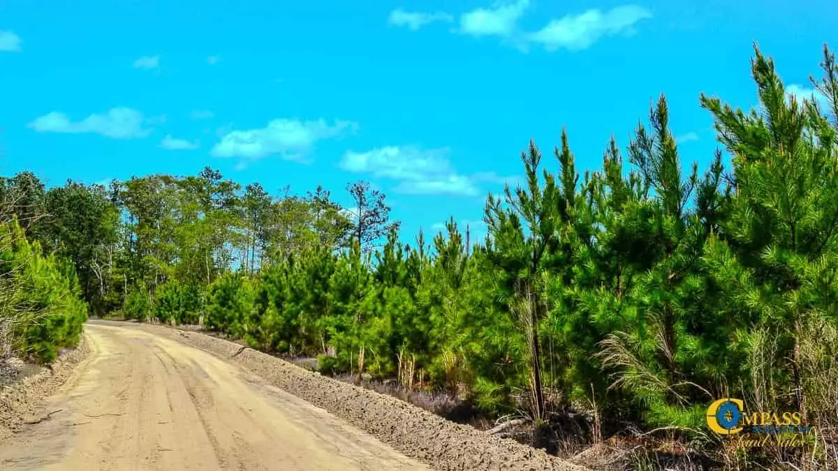 5659 Mt Pisgah Rd, Bethune, SC 29009 - Image #1