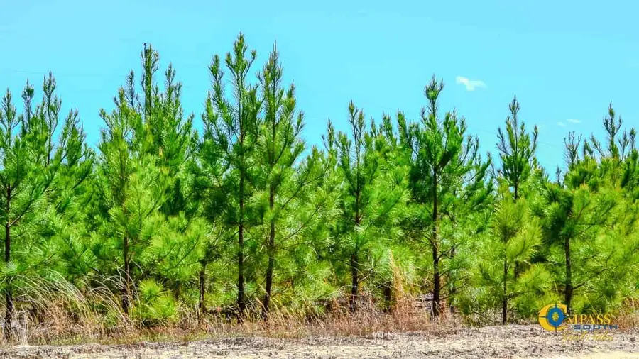 5659 Mt Pisgah Rd, Bethune, SC 29009 - Image #2