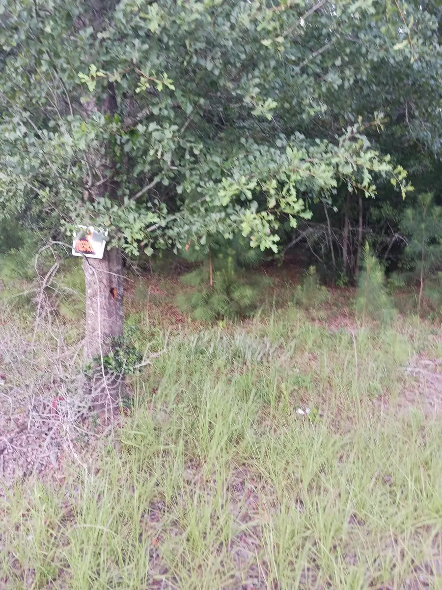 1638 Old Whitesville Road Road, Moncks Corner, SC 29461 - #2