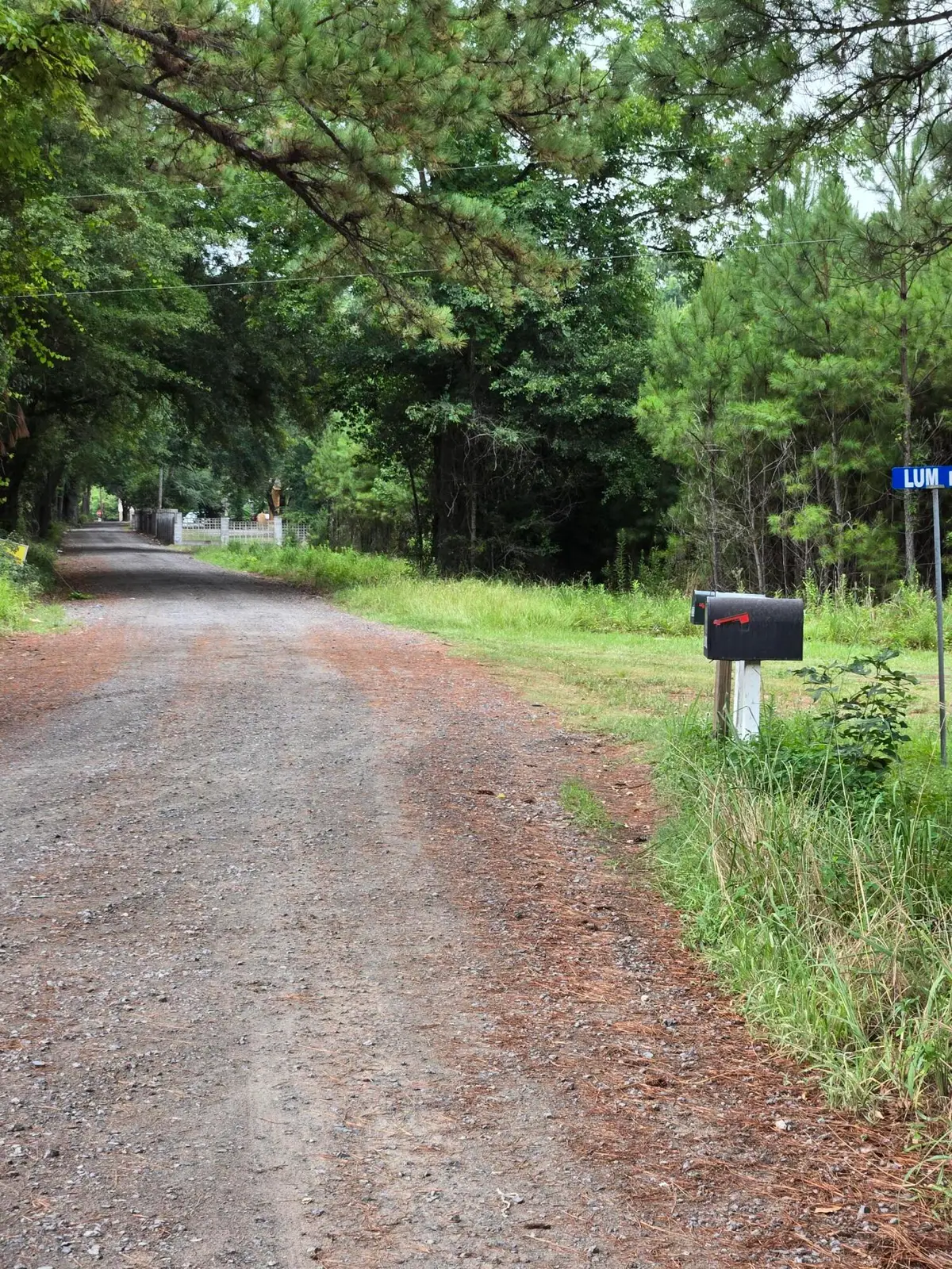 00 Rodenberry Road, Cross, SC 29436 - #1