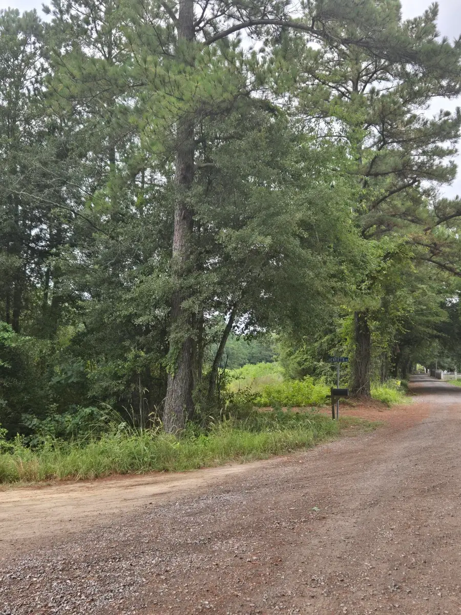 00 Rodenberry Road, Cross, SC 29436 - #2