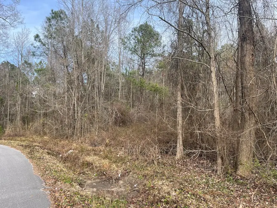 01 Bee Drive, Walterboro, SC 29488 - #2