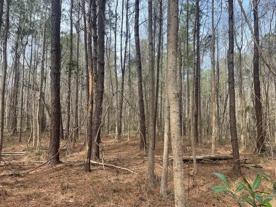 01 Bee Drive, Walterboro, SC 29488 - #3