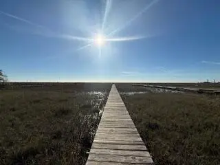 0 Hammocks Way, Edisto Island, SC 29438 - #1