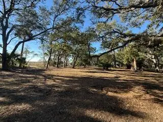 0 Hammocks Way, Edisto Island, SC 29438 - #2