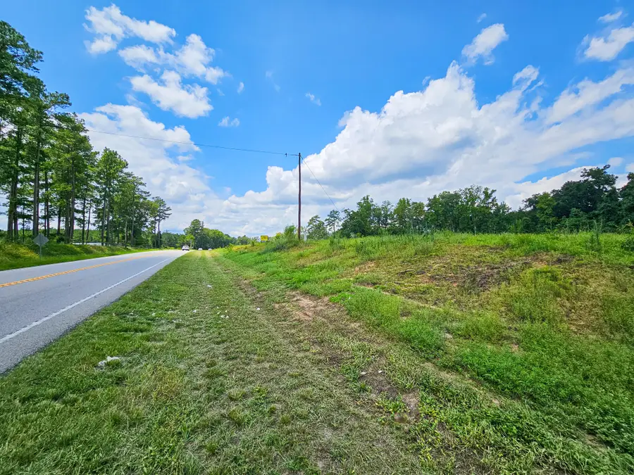 0 Bells Highway & Jones Swamp Highway, Walterboro, SC 29488 - #2