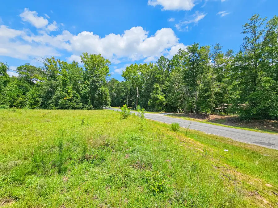 0 Bells Highway & Jones Swamp Highway, Walterboro, SC 29488 - #3