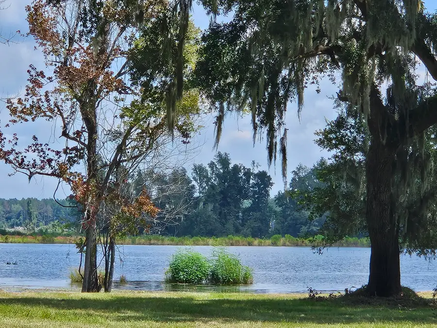 210 Oyster Catcher Lane, Ravenel, SC 29470 - Image #3