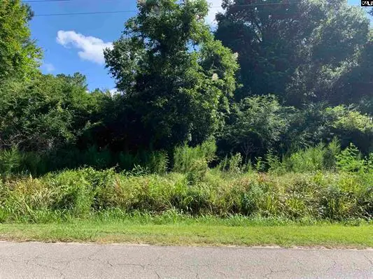 0 Sugar Hill Road, Saint George, SC 29477 - #2