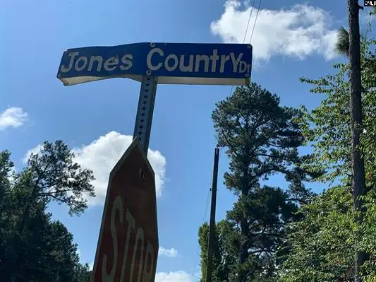 0 Sugar Hill Road, Saint George, SC 29477 - #3