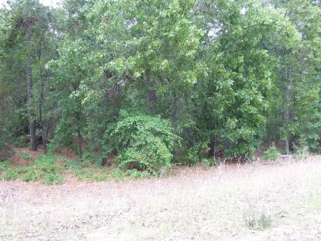1412 Old State Road, Gaston, SC 29053 - #1
