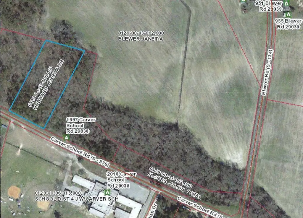 0 Carver School Road, Cope, SC 29038 - #1