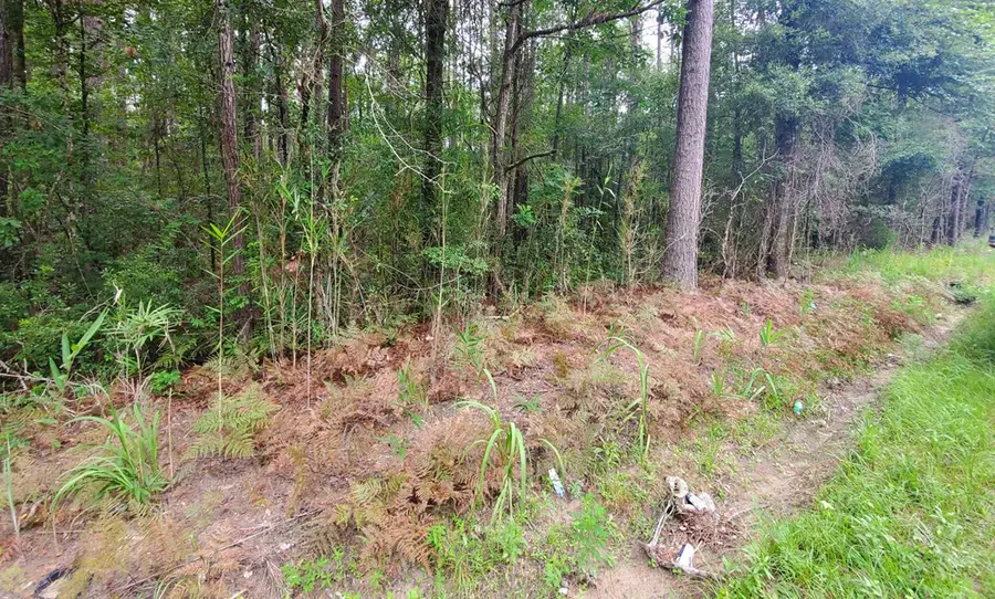 0 2nd Texas Road, Saint George, SC 29477 - #3