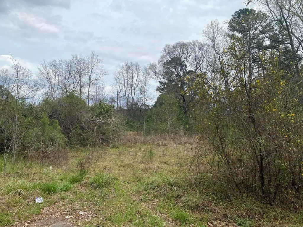 927 Rodney Road, Orangeburg, SC 29115 - #1
