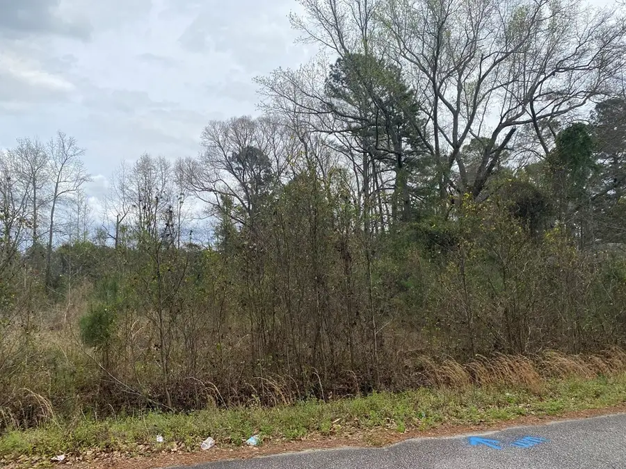 927 Rodney Road, Orangeburg, SC 29115 - #2